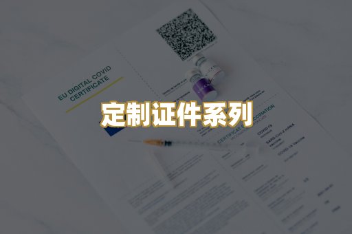 定制证件系列